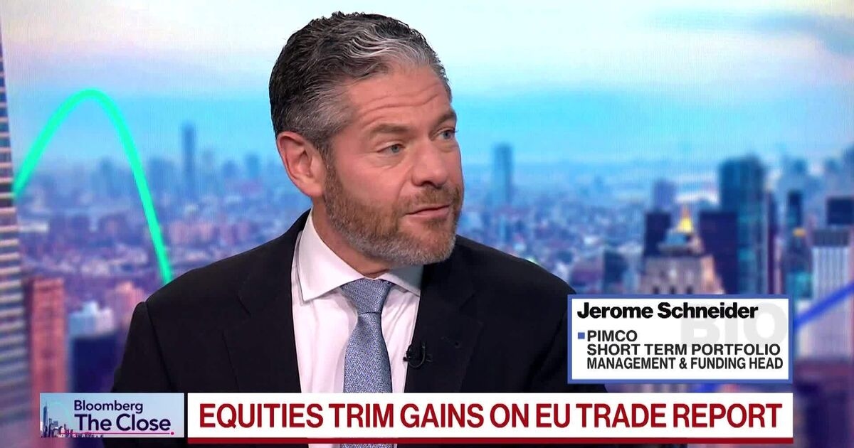 Pimco's Schneider Sees Market Volatility Persisting