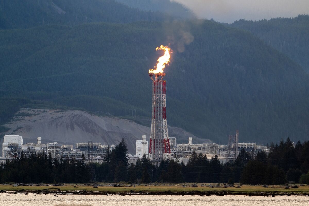 Global LNG Supply to Surge Most Since 2019 Next Year, IEA Says