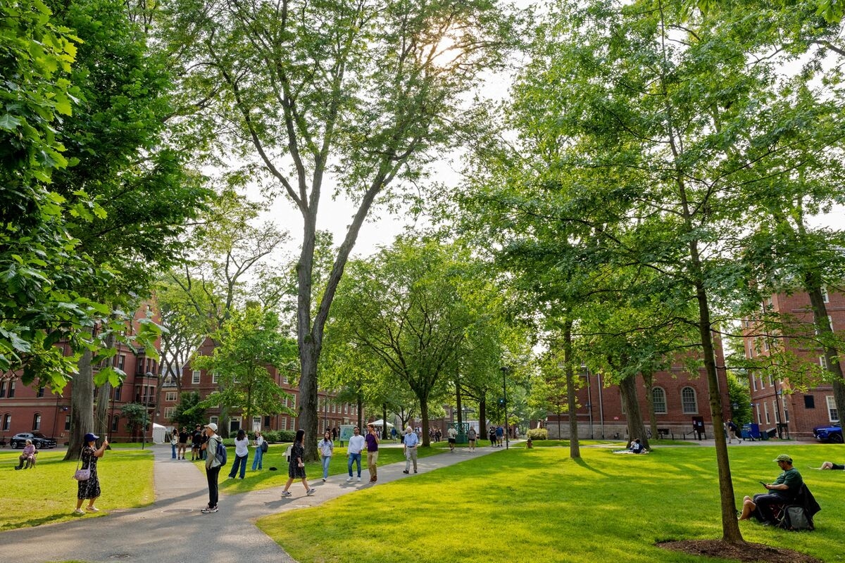 Harvard Faculty Who Fear School's Destruction Urge Trump Deal