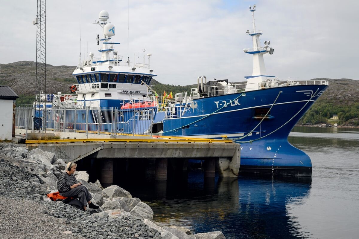 Norway Seafood Exports Increased in June on Salmon Growth