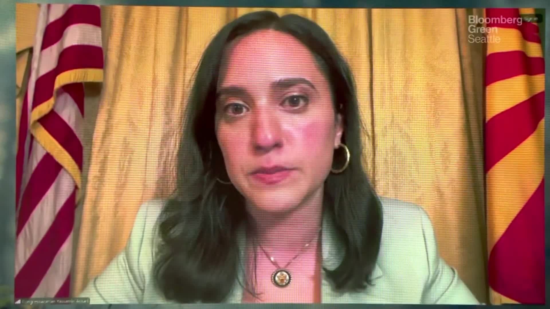 Rep. Yassamin Ansari on Climate Legislation