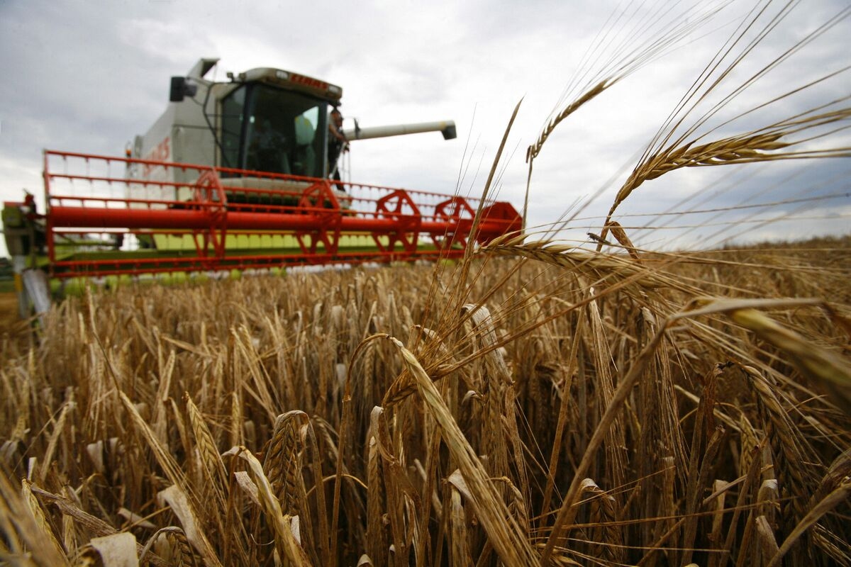 The EU Is Heading Down the Wrong Farming Track