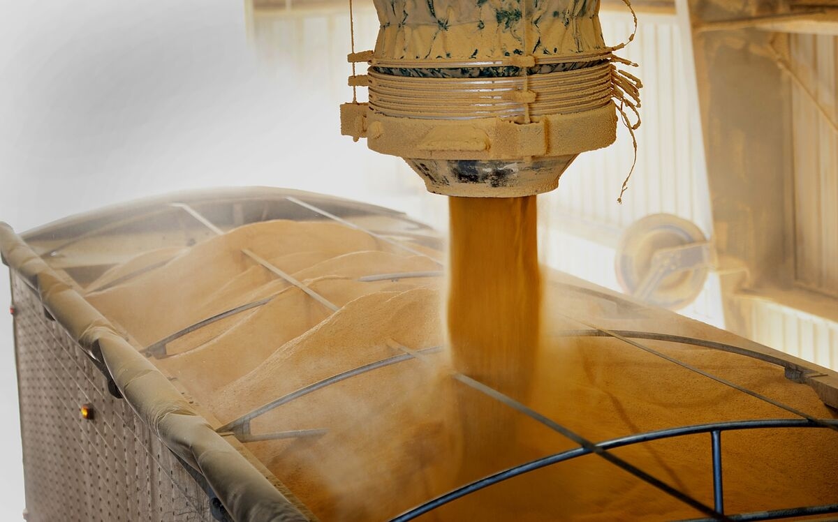 Chinese Firm in Talks to Import Distillers Grains From Brazil