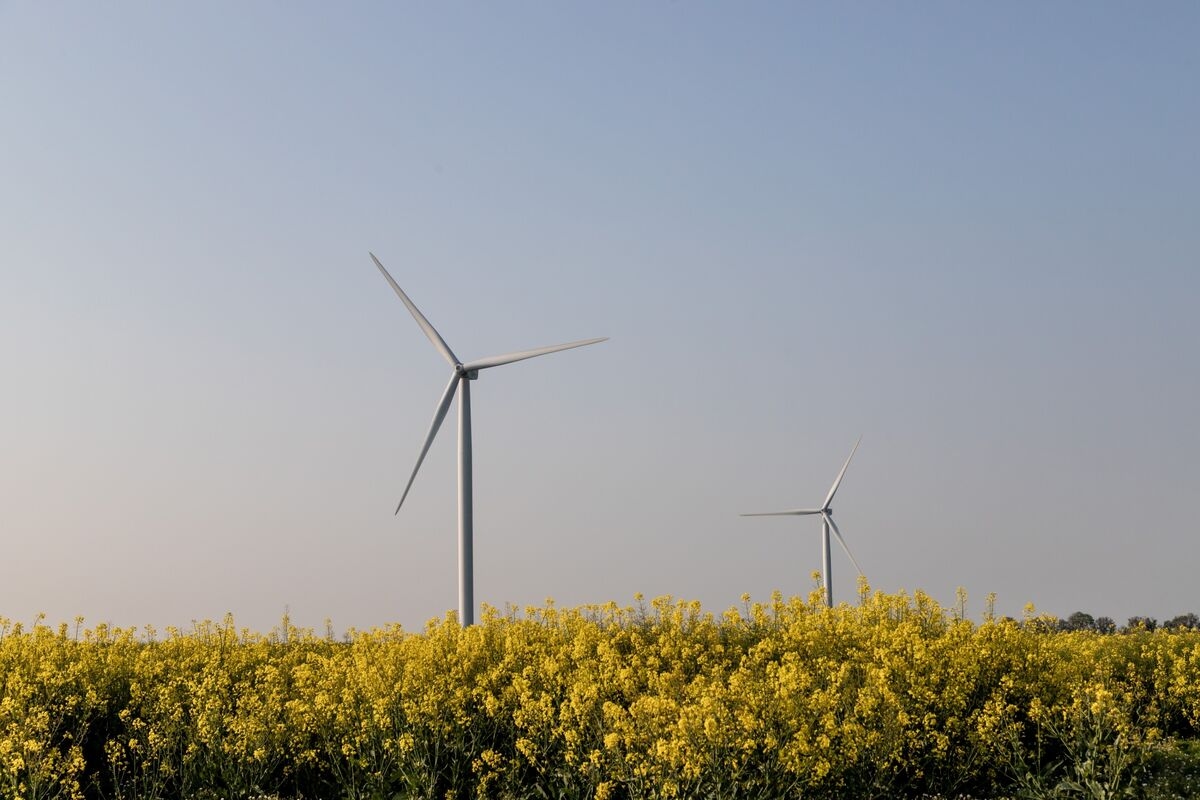 France Doubles Renewables Curtailment on Supply-Demand Mismatch