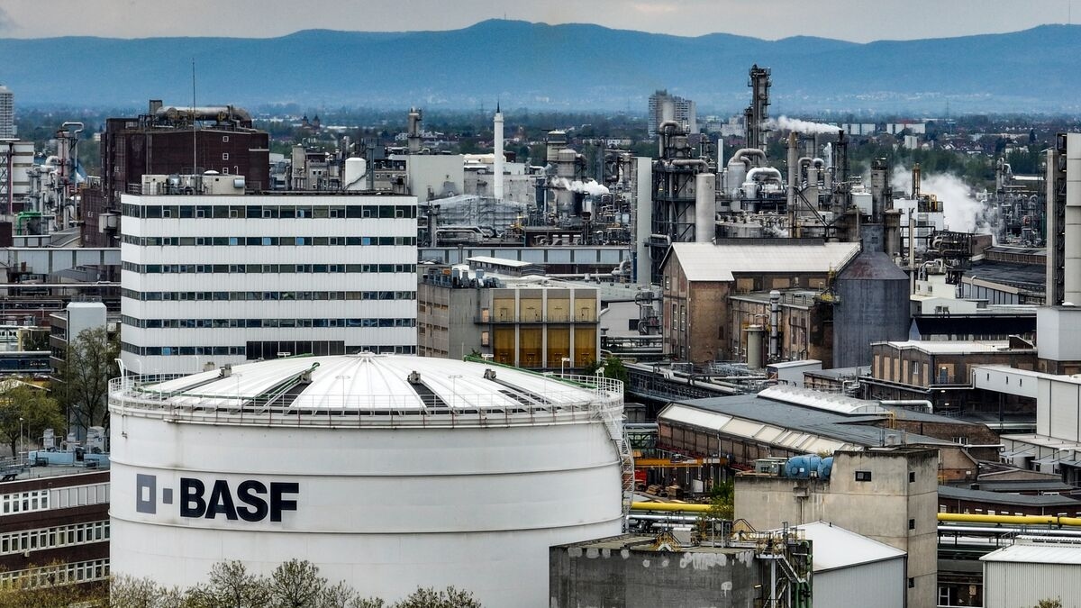 BASF Set to Take Next-Round Bids for Coatings Arm in August