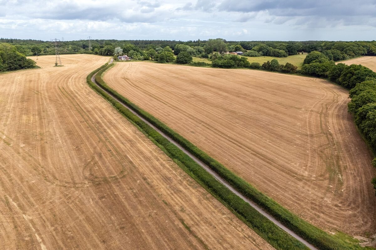 UK Farmers Face Increased Fire Risks as Dry Weather Persists