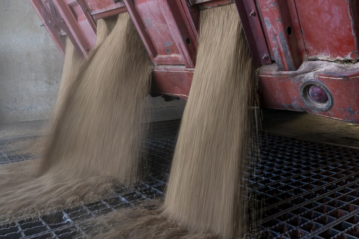 Indonesia Pledges to Buy More US Wheat in Bid for Trade Deal