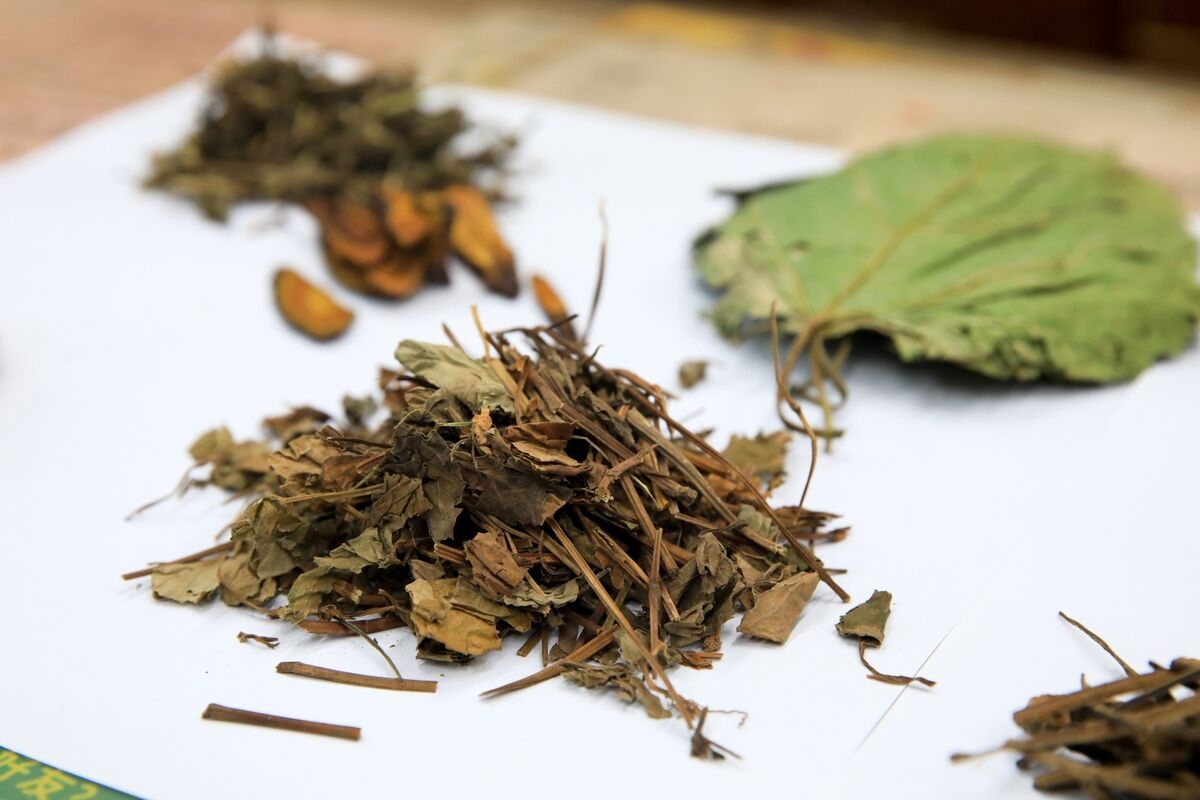Singapore to Study Using More TCM Therapies in Public Healthcare