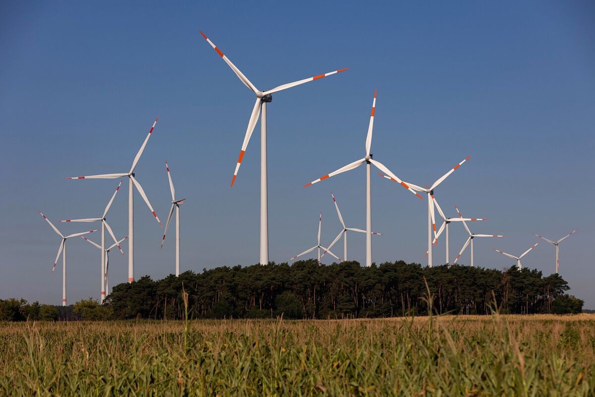 Citi Banker Says Clients Consider Climate Investments Outside US