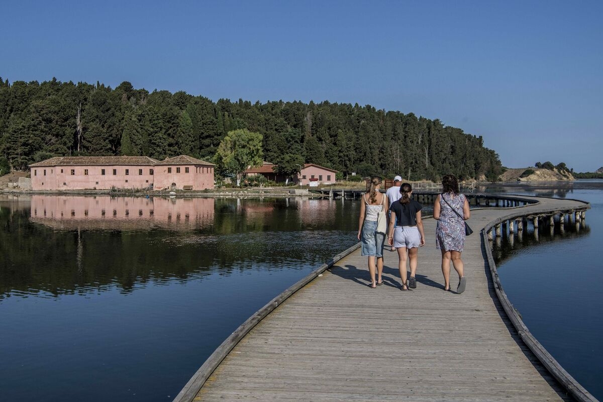 Albania Takes Stake in Jared Kushner's $1.4 Billion Tourism Plan