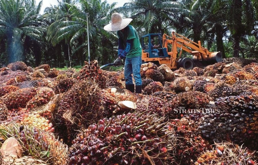 Indonesia palm oil group urges government to delay levy hike