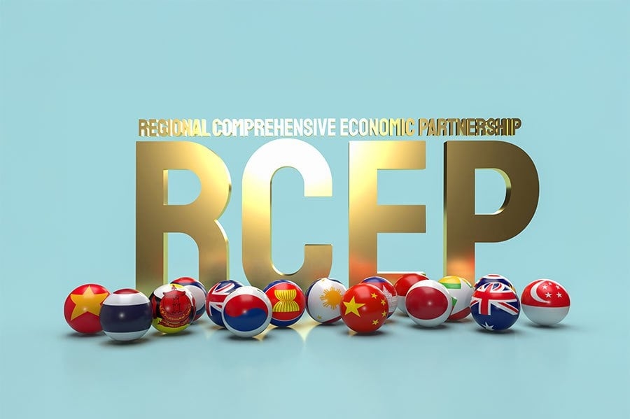 RCEP and the future of Asean's economy: Between potential and pitfalls