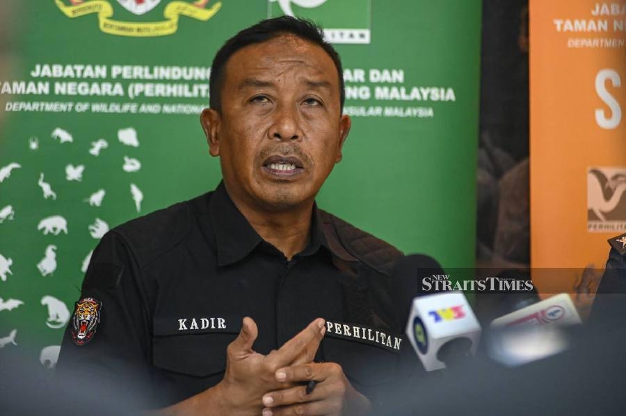 RM5.4 million worth of protected wildlife rescued at KLIA between 2023 and 2025