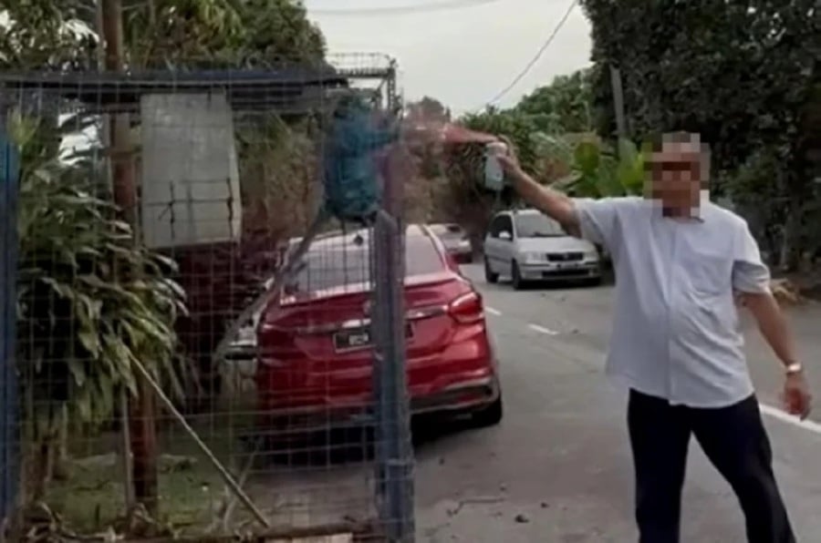 Animal lovers outraged as man spray-paints monkey