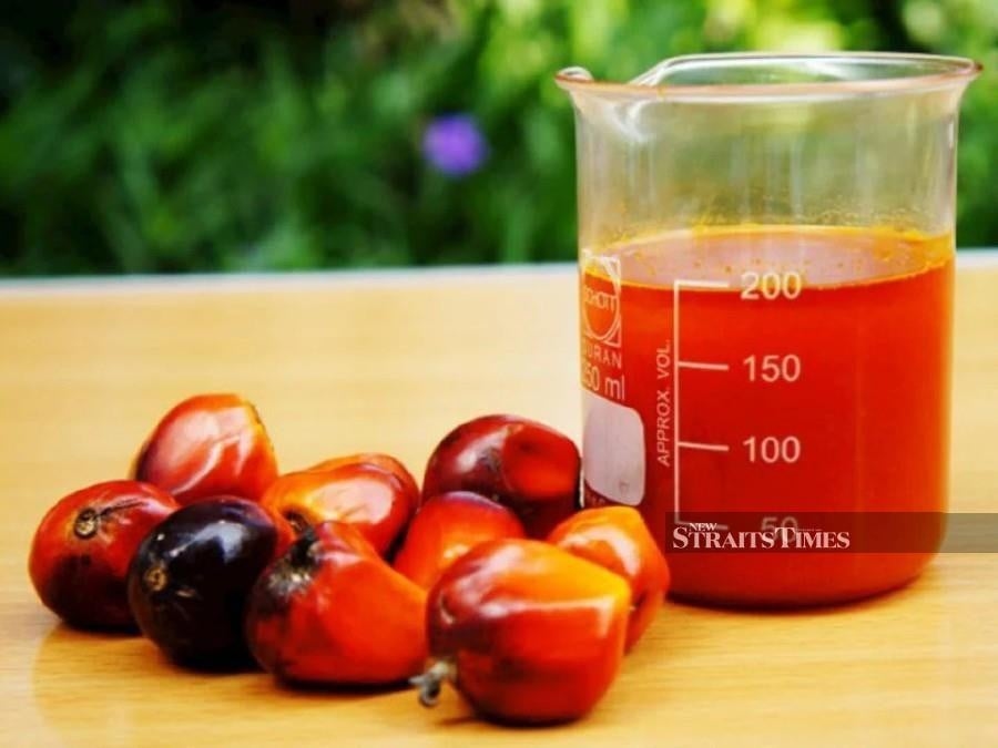 Four held over crude palm oil misappropriation in Sandakan