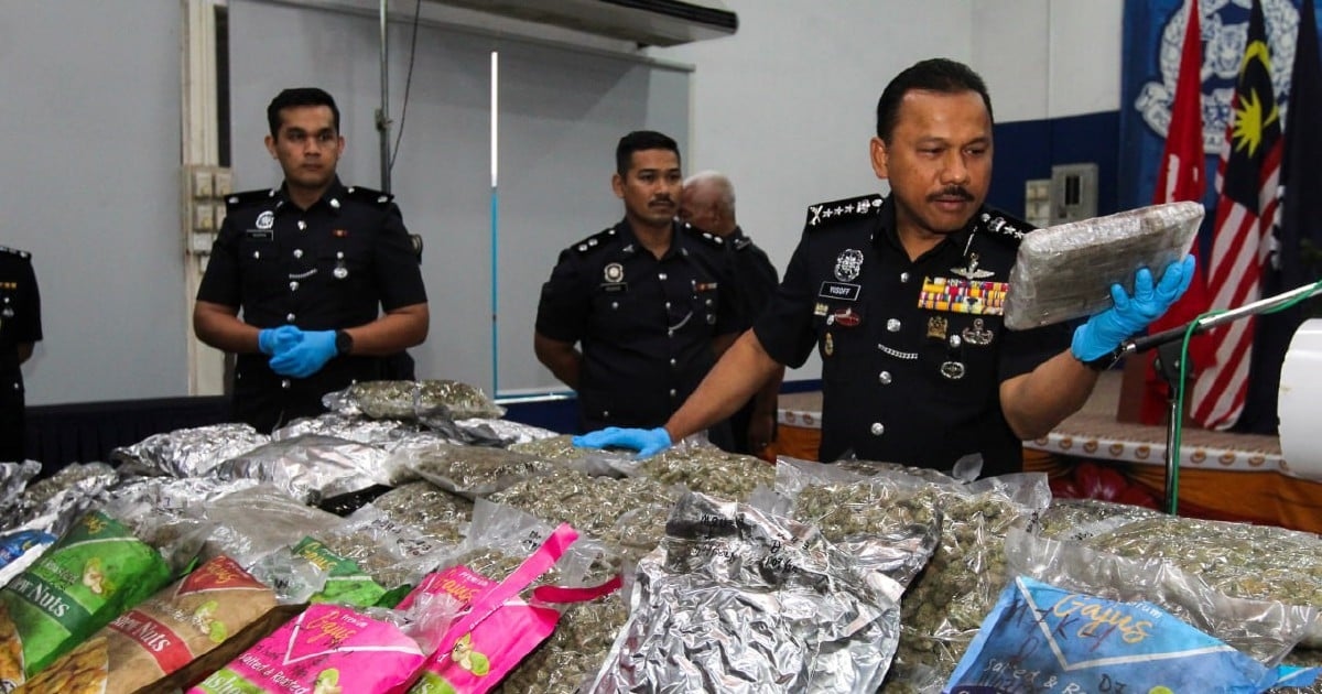 Cops weed out married couple in drug bust, seize 90kg of ganja