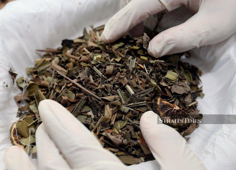 FRIM empowers local herbal entrepreneurs through HTC