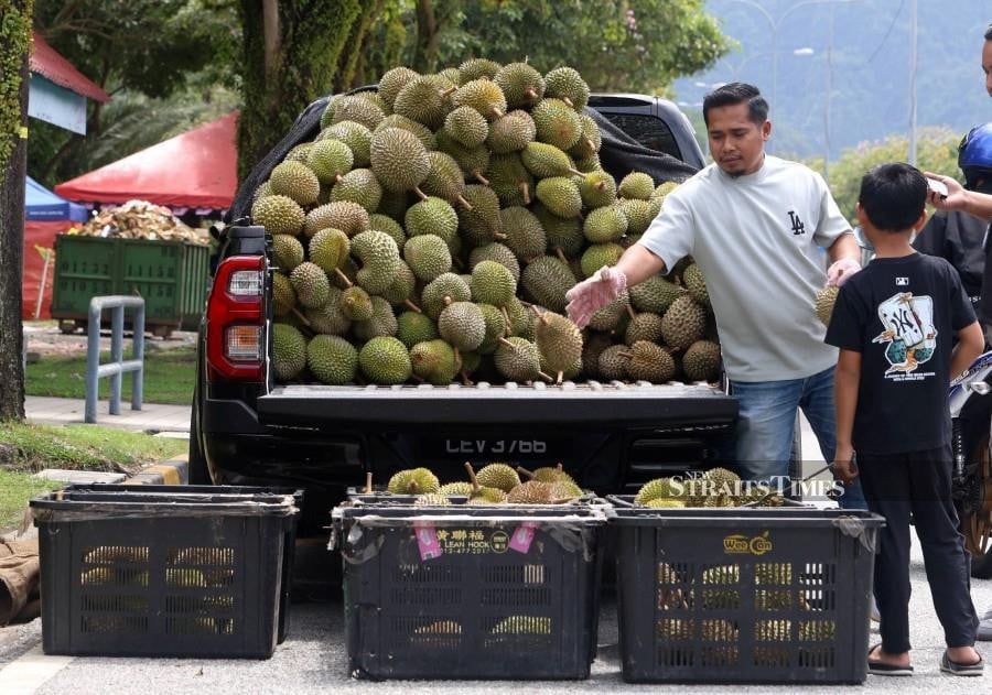 Lower durian prices expected as supply floods market next month, says seller