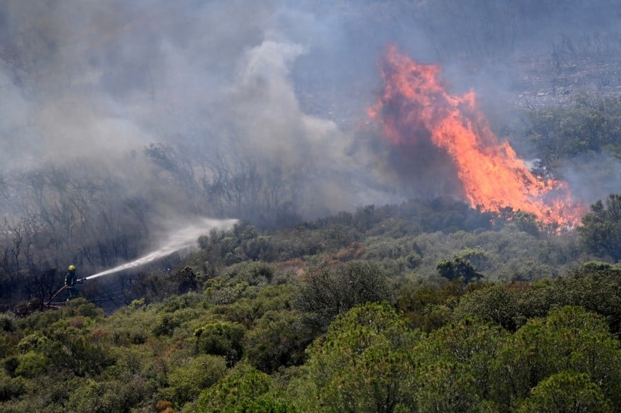 Climate Change Bill must have nature-based solutions at its core