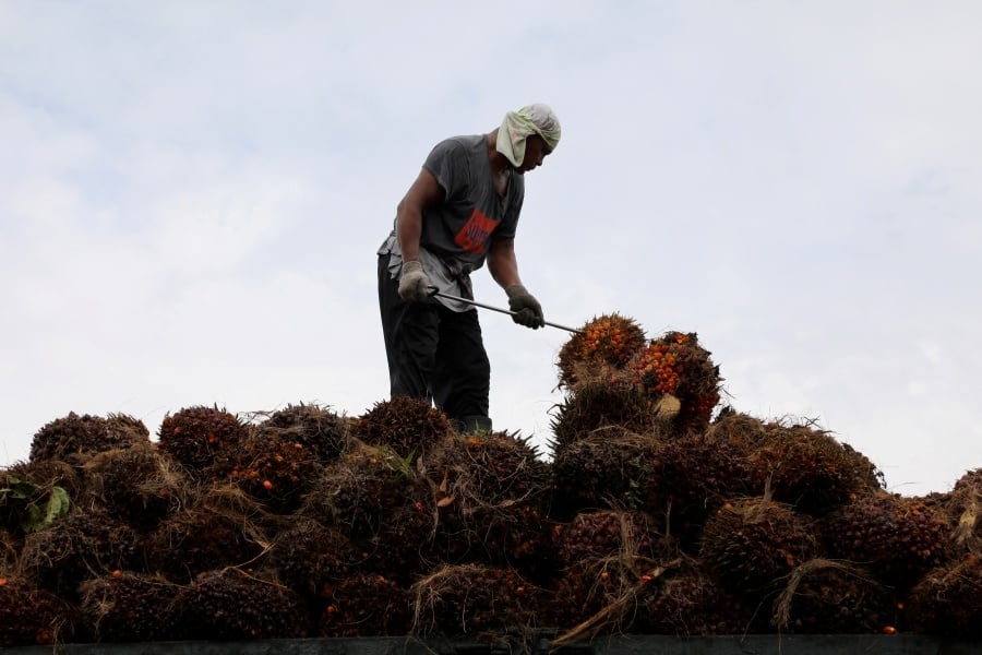 Palm oil futures rebound on stronger Chicago soyoil, crude, soft ringgit