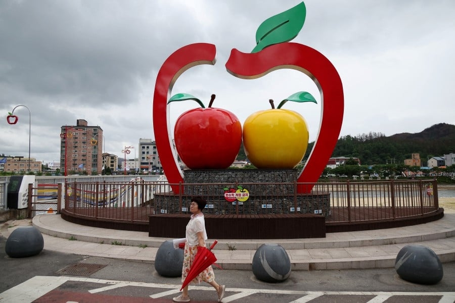 S.Korea's farmers beg not to be sacrificed for US trade deal