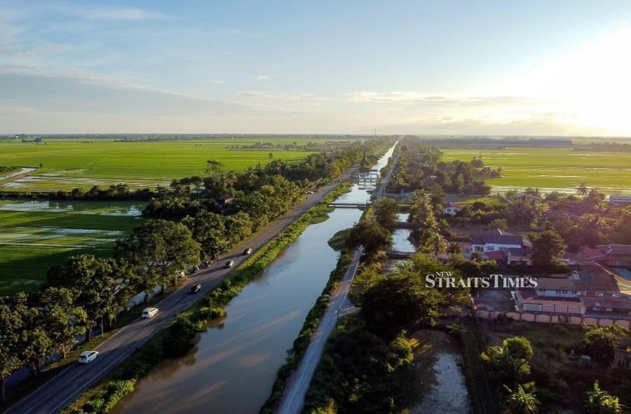 Sungai Korok tragedy: Bamboo barriers among safety measures proposed