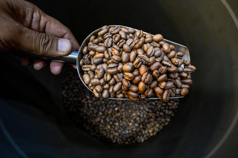 Traders rush to land Brazilian coffee in the US before Trump's 50pct tariff