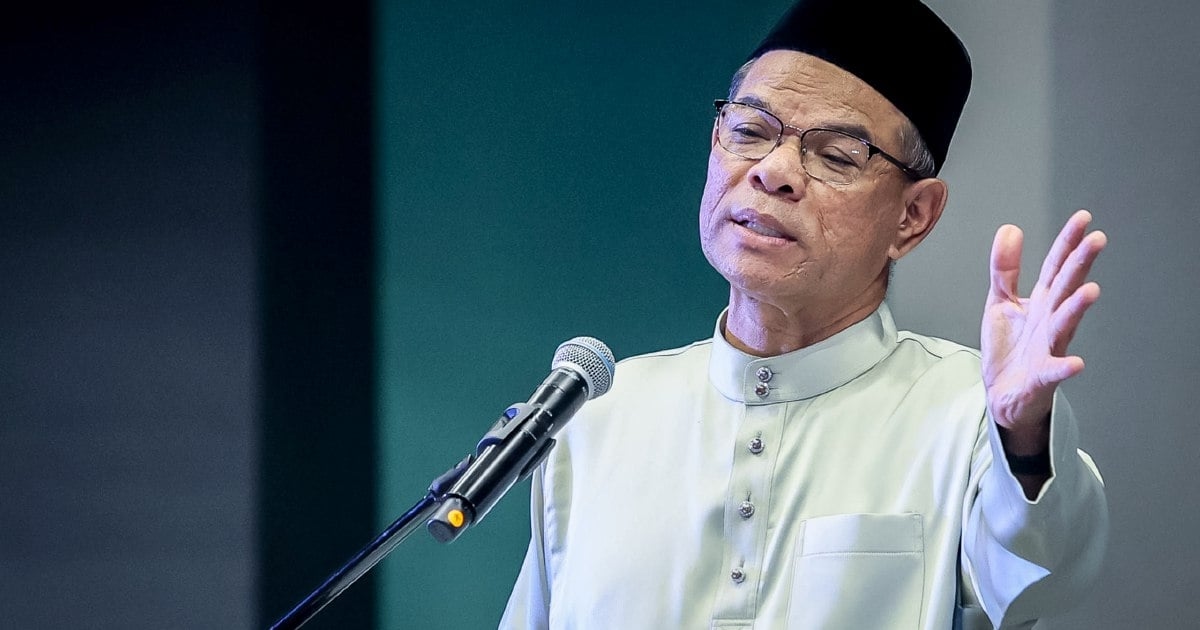 Fake TikTok accounts impersonating home minister detected