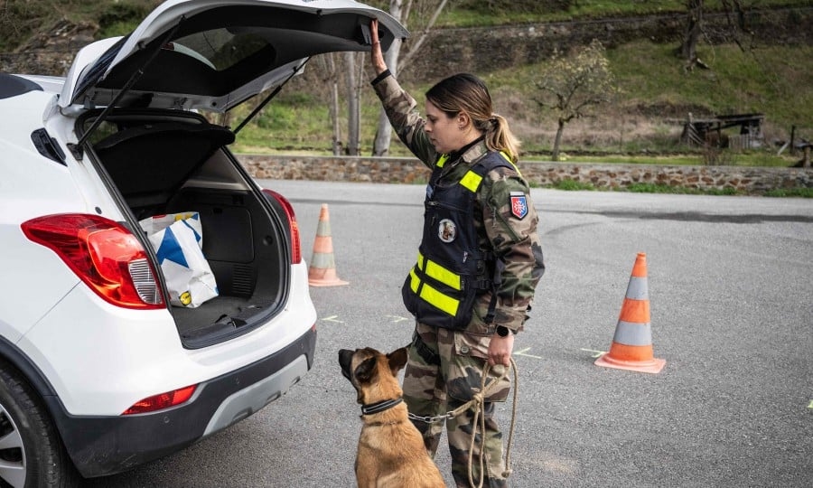 Europol: 1,194 rescued in global trafficking raids