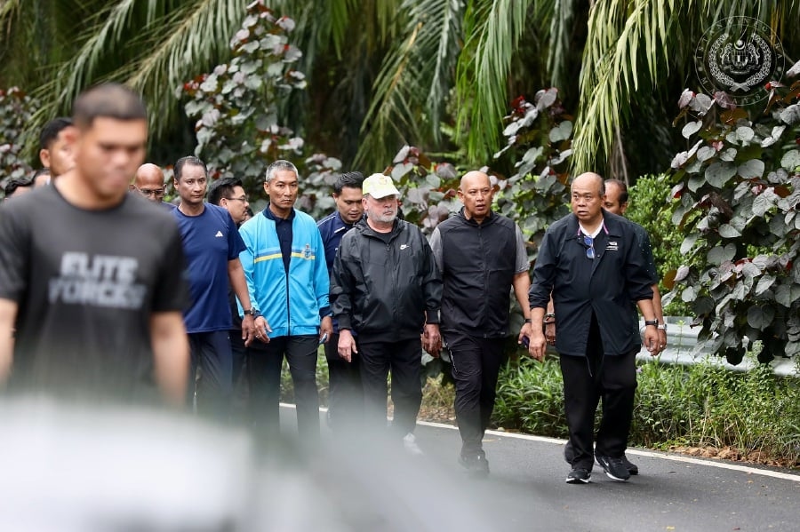 Tree branches, rubbish along KL road raise safety concerns during King's spot check