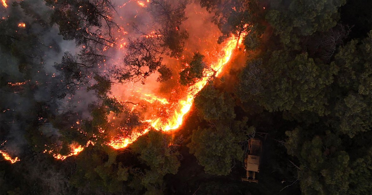 Mass evacuations as wildfires rage across Syria's Latakia province