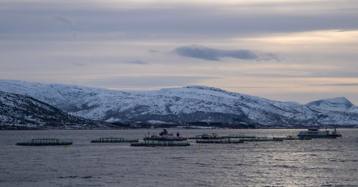 Oceans feel the heat from human climate pollution