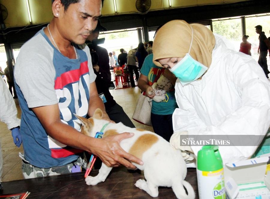 RM2,000 fine soon for Kuching dog owners who ignore rabies rules