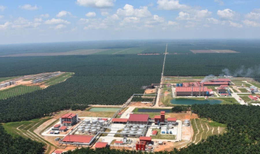 United Plantations 1Q 2025 net profit rises to RM163.26 mil