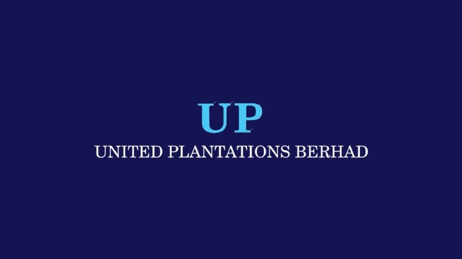 United Plantations 2Q net profit rises 34.1pct to RM249.38mil