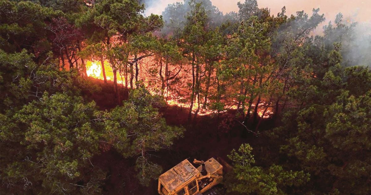 Syria battles forest fires for third day as Turkiye sends help