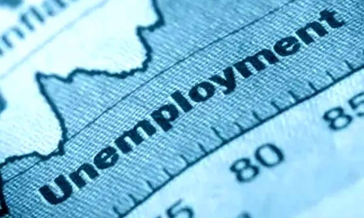 Companies across sectors extend employment opportunities