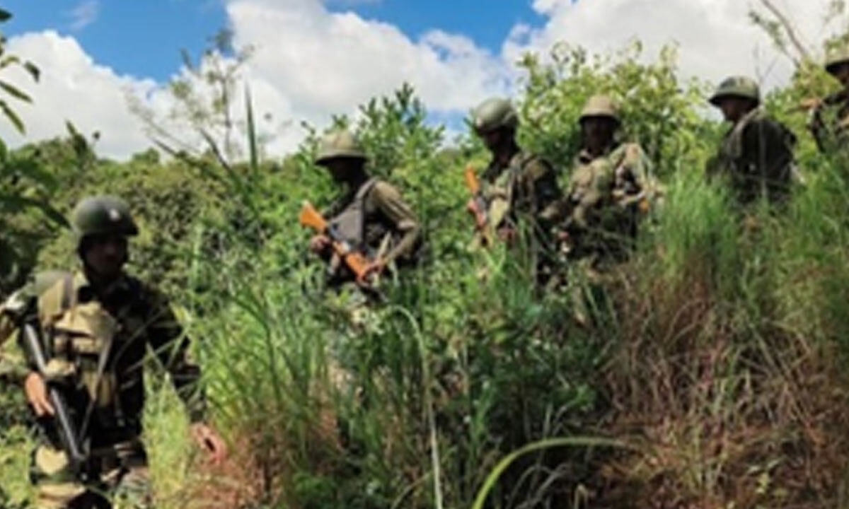 3 NSCN militants killed in Assam encounter, arms recovered