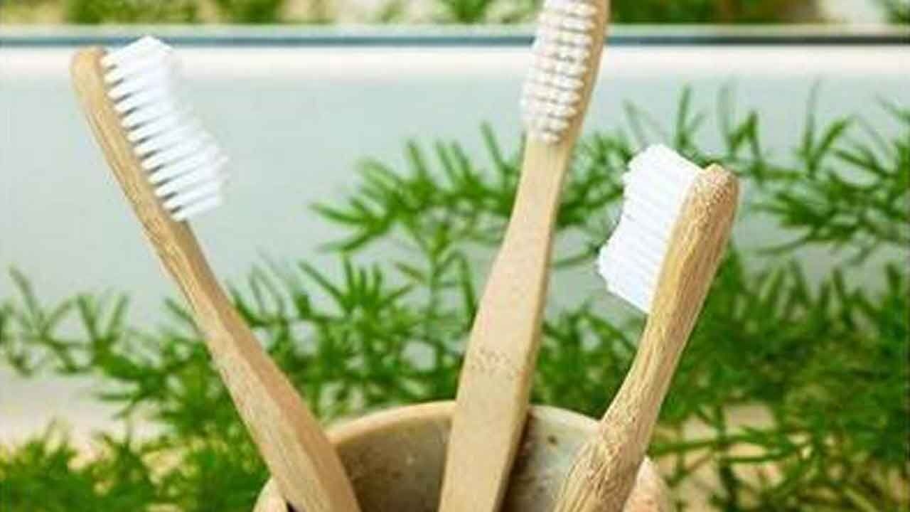 Hyderabad: Campaign to promote bamboo toothbrushes held