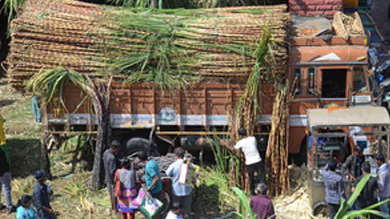 India's sugar output to rise 15 pc at 35 million tonnes on favourable monsoon: Crisil