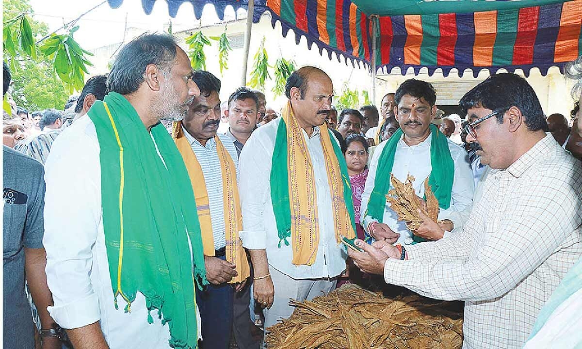 Tobacco procurement centres inaugurated