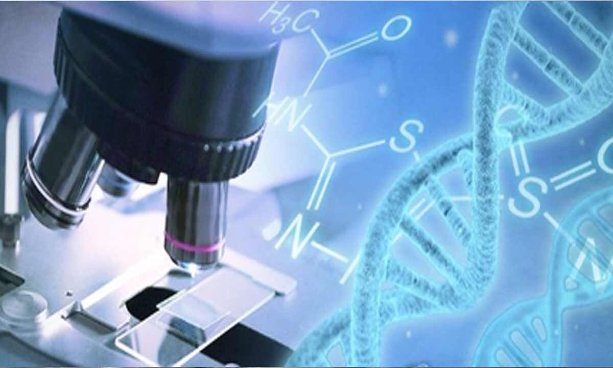 Australian scientists discover proteins that could help fight cancer, slow ageing