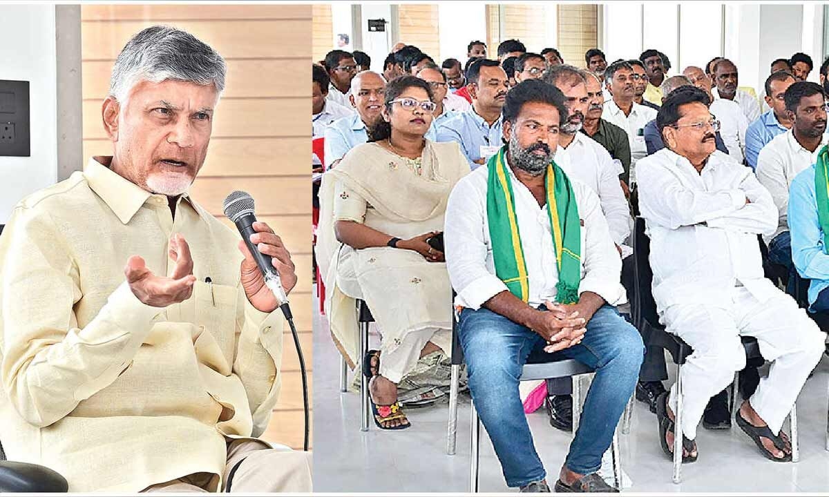 CM steps in to protect interests of mango farmers