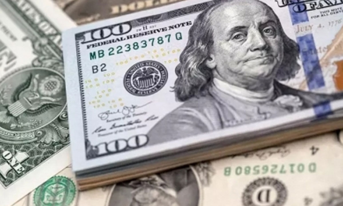 'Resilient economy': India's forex reserves cross $700 billion mark again