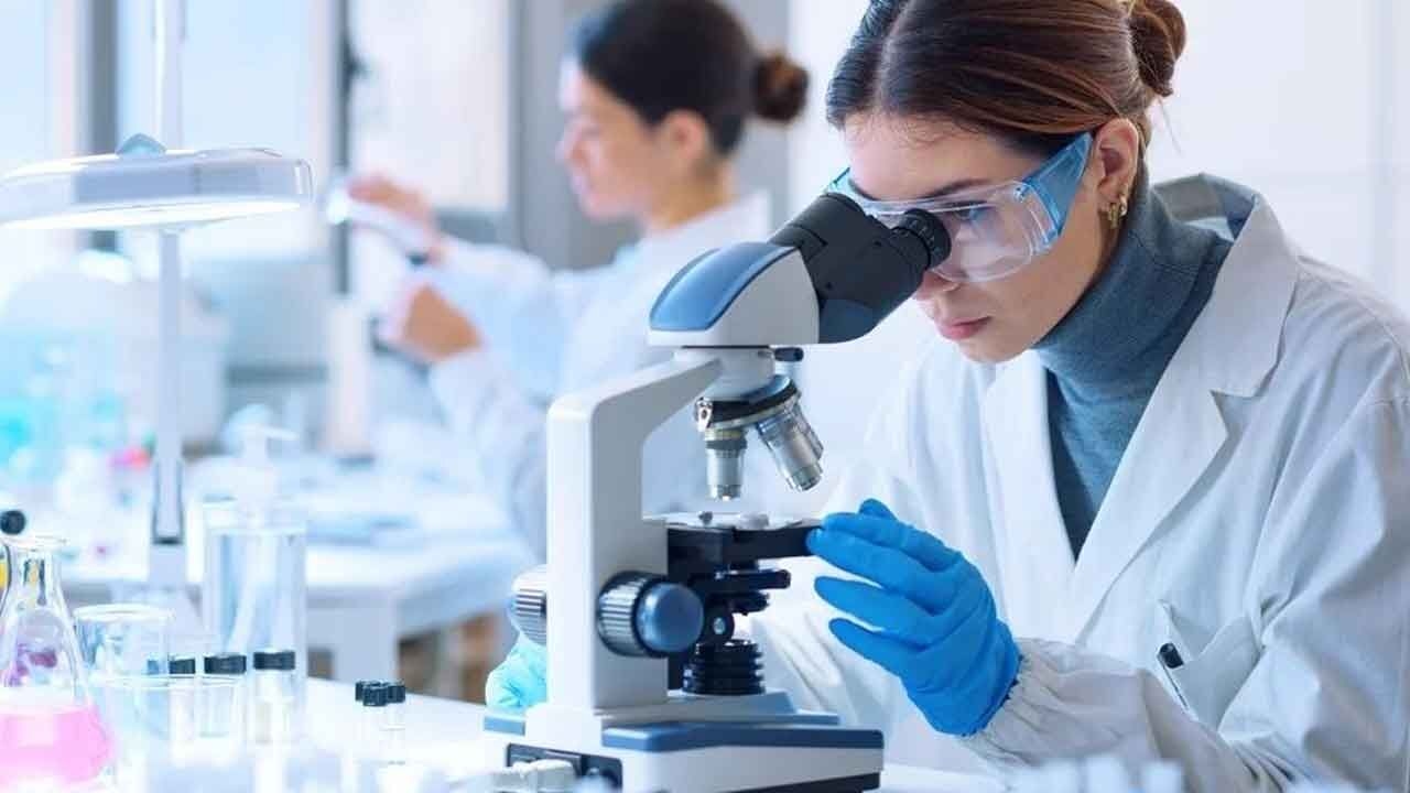 Scientists discover proteins that could help fight cancer, slow ageing