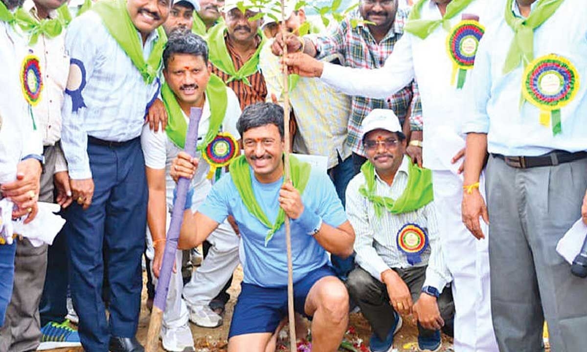 Singareni CMD plants 500 saplings during Van Mahotsav programme