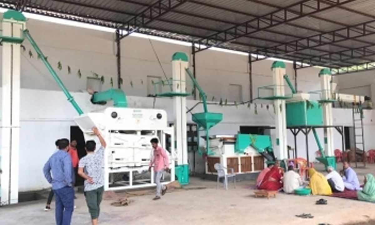 AI, IoT to drive India as a global leader in food processing: Report