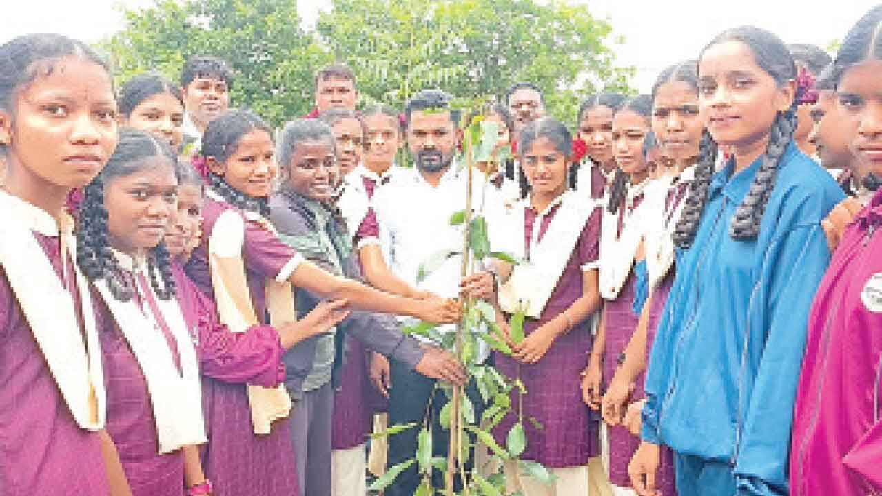 Trees vital for reducing pollution: Bojju Patel