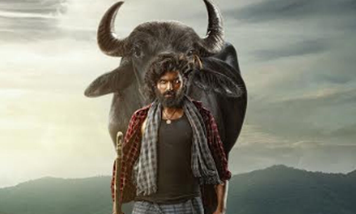 Ravi Teja's nephew Maadhav makes debut with ‘Maremma'; FL unveiled