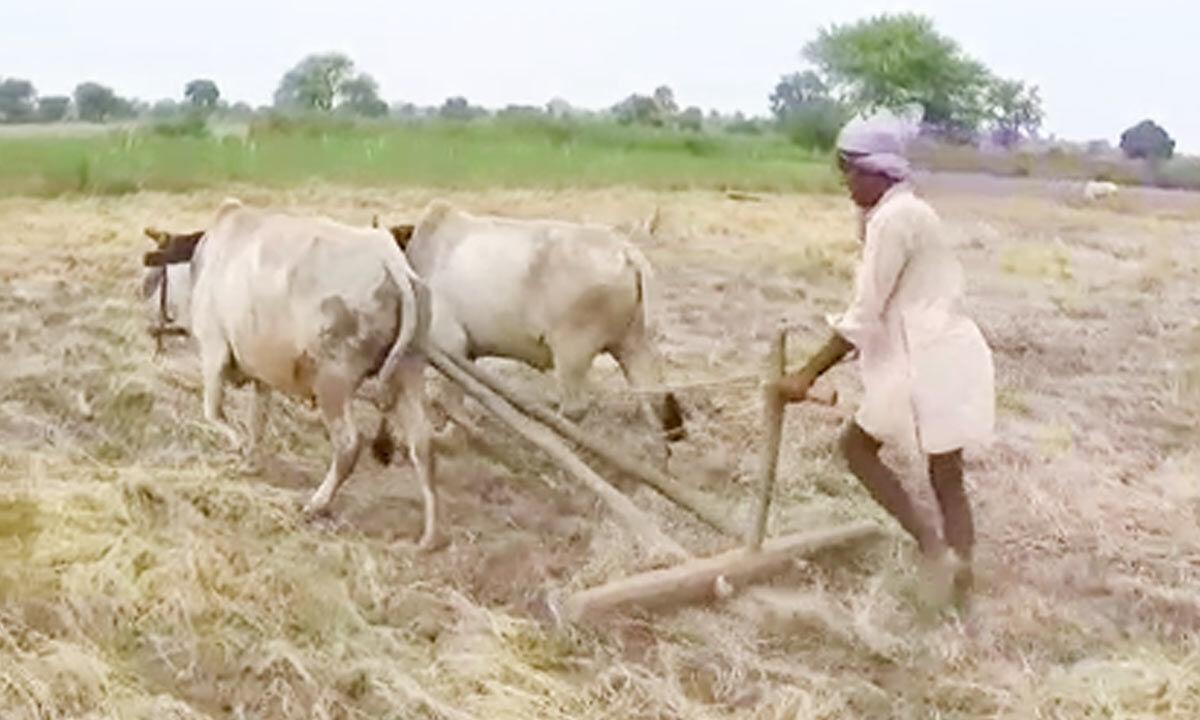 PM KISAN scheme: About 2 lakh farmers draw benefits in MP's Damoh